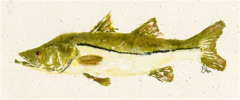 Snook Lineside Gyotaku Fish Rubbing Limited Etsy