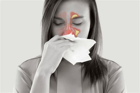 alergii tot ce trebuie sa stii cauze simptome diagnostic tratament