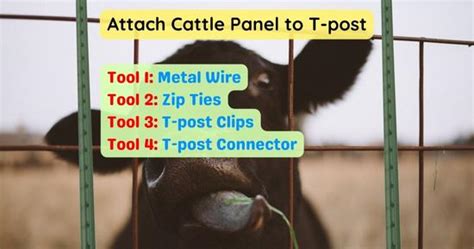 How To Attach Cattle Panel To T Post Expert Diy Guide