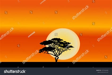 African Acacia Tree Silhouette On Orange Stock Vector Royalty Free