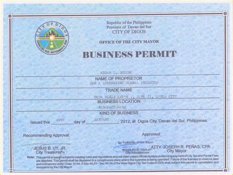 Business License Template