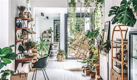 Indoor Plants Trending In 2021 Interior Design Lauren Keenan