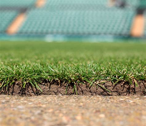 Wimbledon's grass the fastest, french open clay made of pulverized bricks: Wimbledon's Guardians of Grass Face Olympics, Too - The ...