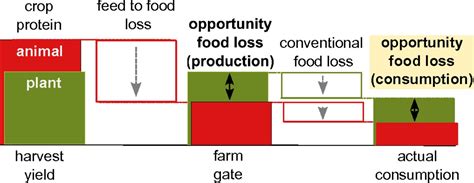 Animal Diagram Example - Diagram Media
