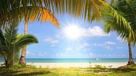 Beach Hd Wallpaper Background Image X Images And Photos Finder