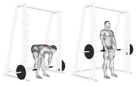 Can You Deadlift On A Smith Machine Yes Heres How Inspire Us