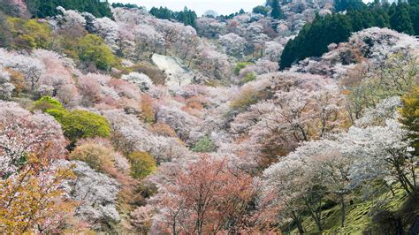 The Best National Parks In Japan Time Out Tokyo