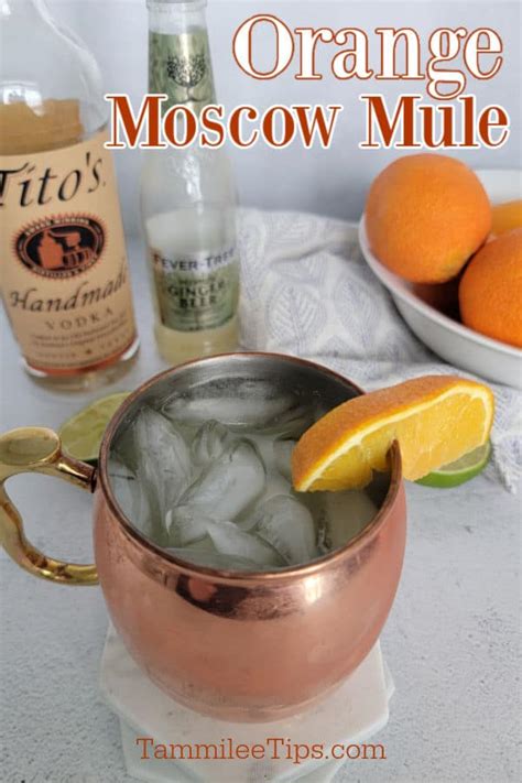 Orange Moscow Mule Tammilee Tips