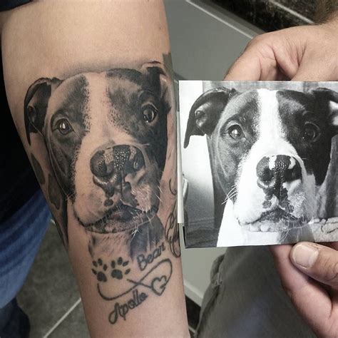 Dog Portrait Tattoo Dog Tattoos Dog Paw Tattoo