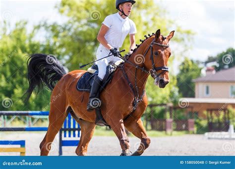 Young Male Horse Rider On Show Jumping Competition Stock Photo Image