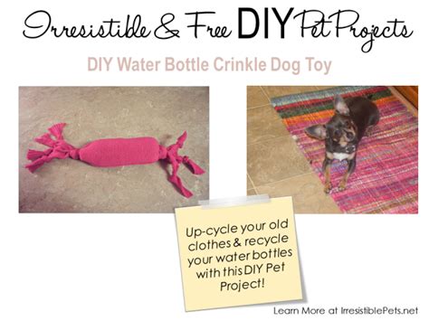 Irresistible And Free Diy Pet Projects Diy Water Bottle Crinkle Toy