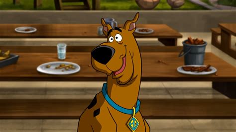 Scooby Doo Scoobypedia The Scooby Doo Wiki