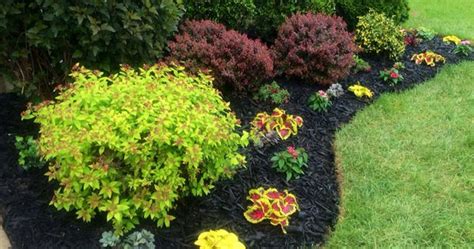Beautiful Flowerbed Black Mulch Made A Big Difference Curb Appeal