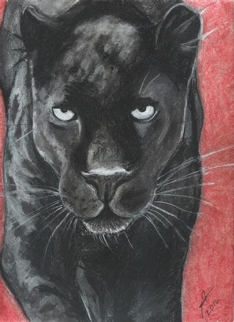 Black Panther In Pastel Drawing By Regina Warriner