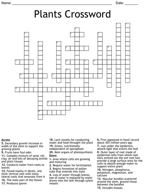 Plants Crossword Wordmint