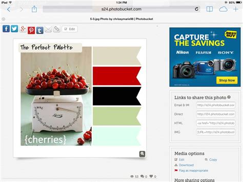 Color palette with red black teal | Perfect palette, Palette, Color palette