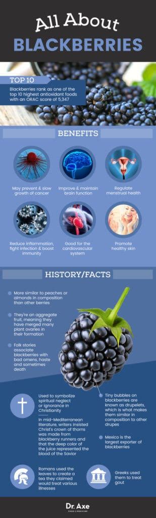 Blackberries Health Benefits Nutrition Facts And Recipes Dr Axe
