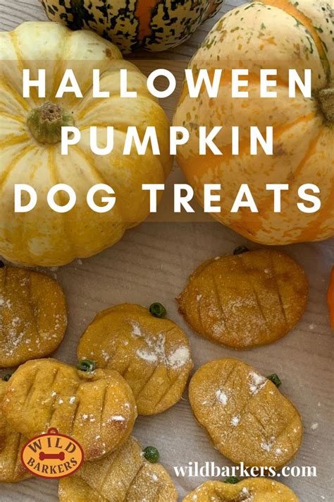 Halloween Pumpkin Dog Treats Spooky Easy Natural Homemade Diy Dog