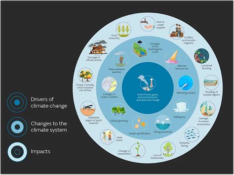 The Impacts Of Climate Change · Frontiers For Young Minds