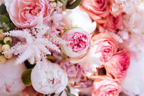25 Types Of Pink Flowers And Their Meaning Orchid Republic