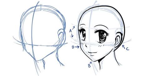 How To Draw A Manga Head Female Manga Drawing Manga Nose Drawings