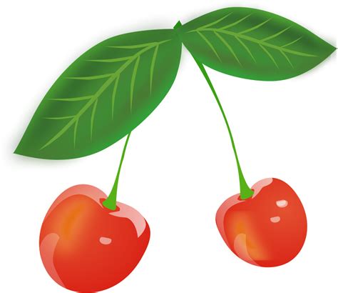 Free Cherry Clipart Png Download Free Cherry Clipart Png Png Images Free Cliparts On Clipart