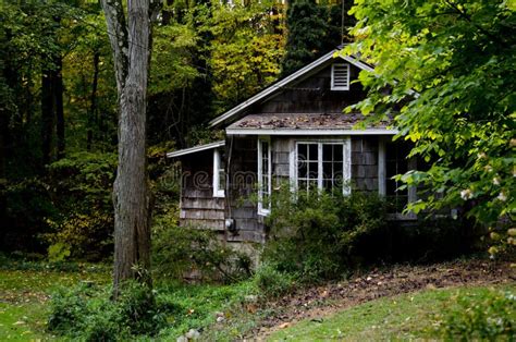 Cabin In The Woods Stock Photo Image Of Forest Michigan 36453298