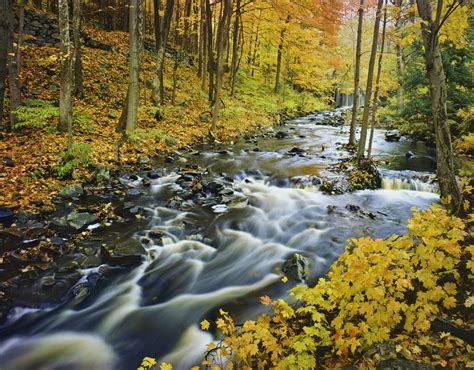The Top Ways To Explore Green Mountain National Forest Getaway Vacations