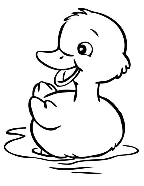 Cute Little Duck Coloring Page Netart