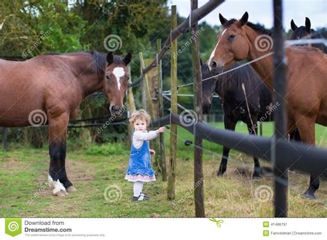 Cute Little Baby Girl Playing With Horses On A Farm Stock