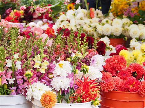 This does not include the wake, however, and depending on how many people you invite that can get very expensive. 9 Best Ways to Save Big Money on Wedding Flowers ...