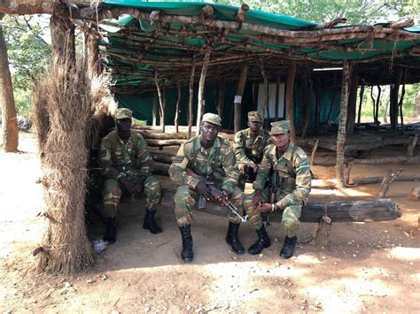 Dvids Images Zambian Battalion Training Image 5 Of 6