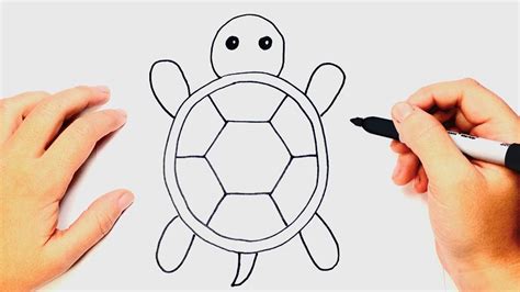 How To Draw A Turtle Art For Kids Hub