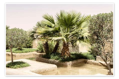 Desert Home Oasis Garden Print By Philippe Hugonnard Posterlounge