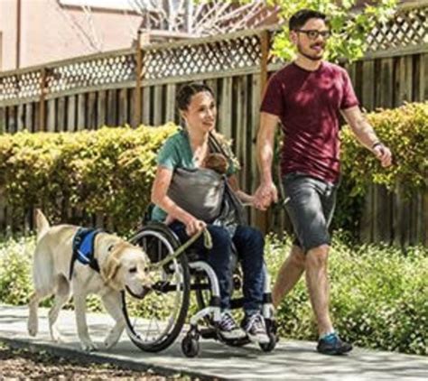 Canine Companions For Independence Highly Trained Assistance Dogs