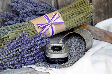 The Complete Lavender Experience