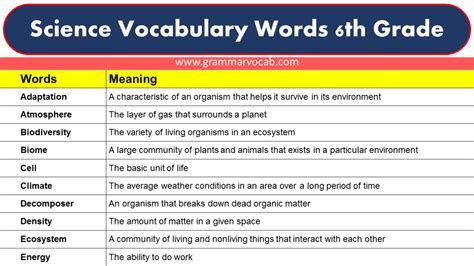 Science Vocabulary Words 6th Grade Grammarvocab