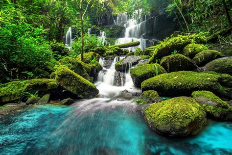 Green Forest Waterfall Valokuvatapetti Hyvään Hintaan Photowall