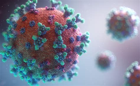 Virus Del Papiloma Humano Detección Y Vacuna Soy Carmín