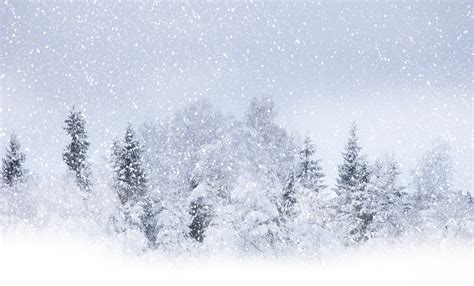 Blizzard Snow Storm Clip Art Clip Art Library