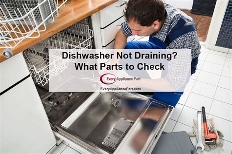It's also important to check the chain one thing we always advise is to make sure the exit drain is not clogged at all. Dishwasher Not Draining? What Parts to Check | Dishwasher ...