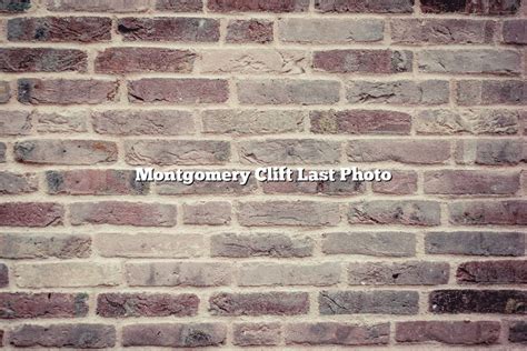 Montgomery Clift Last Photo November 2022