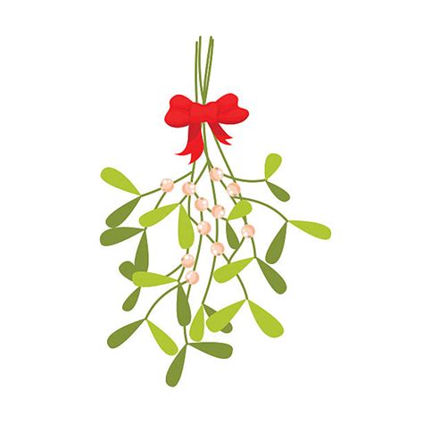 Mistletoe Clip Art Vector Images And Illustrations Istock