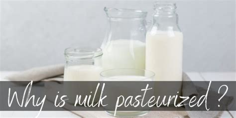 Why Is Milk Pasteurized A Little About The Safest Milk Foodiosity