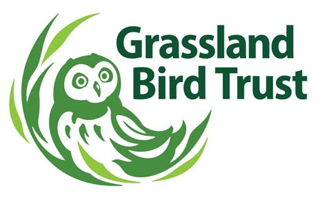 Grassland Bird Trust Global Big Day 2021 At Hicks Orchard