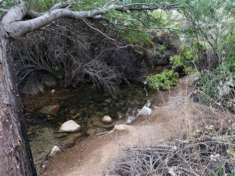 Riparian Preserve At Water Ranch