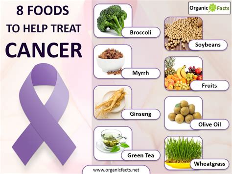 What Foods To Eat To Prevent Breast Cancer ️ Updated Guide 2022