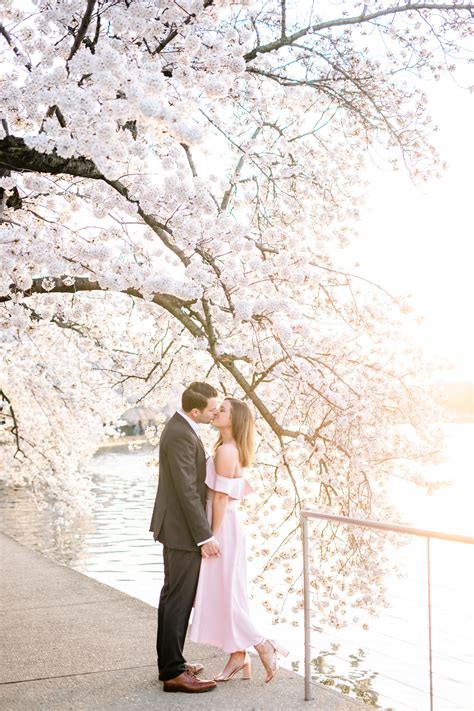 Dc Cherry Blossoms Engagement Photos Showit Blog