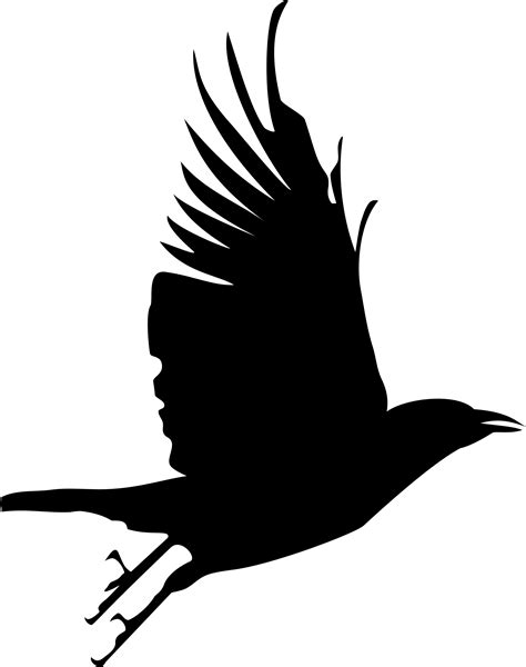 Crow Silhouette Crow Flying Crow