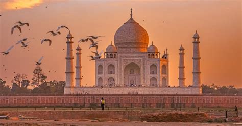 Tour Di Mezza Giornata Allalba Del Taj Mahal Con Il Forte Di Agra Da